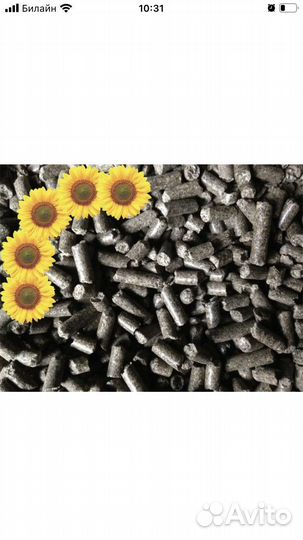 Пелеты из лузги подсолнечника