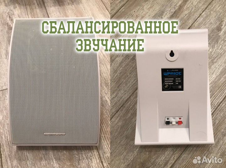 Настенная акустика cvgaudio WPA10TW