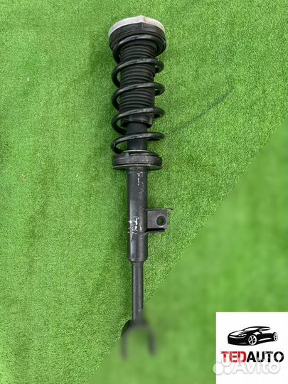 Амортизатор, BMW 5 2022