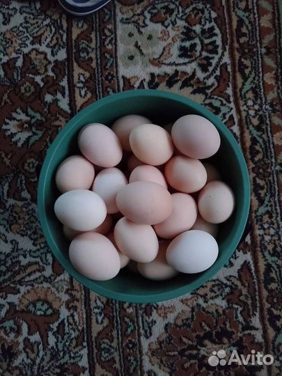 В наличии Деревенские куриные яйца