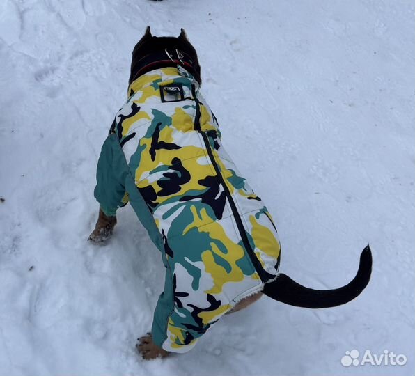 Комбинезон для собак