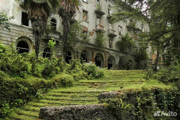 Индивидуальные экскурсии туры по Абхазии