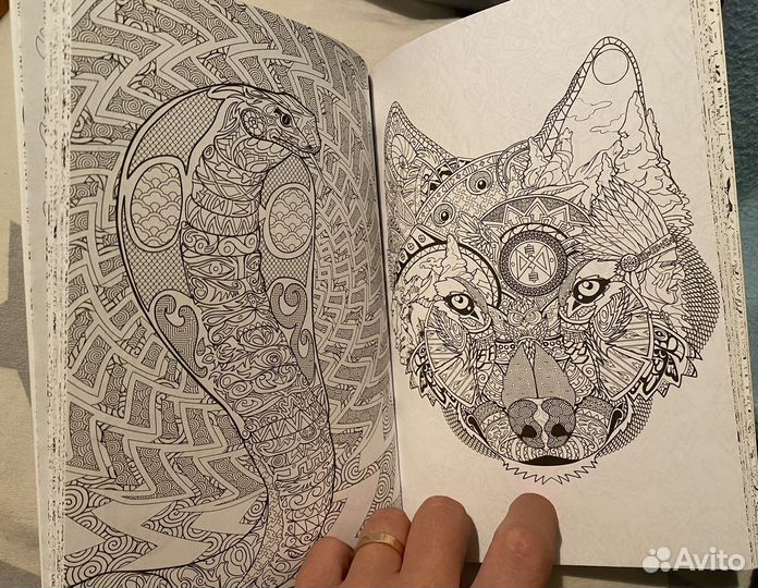 Раскраска для взрослых антистресс зоополис
