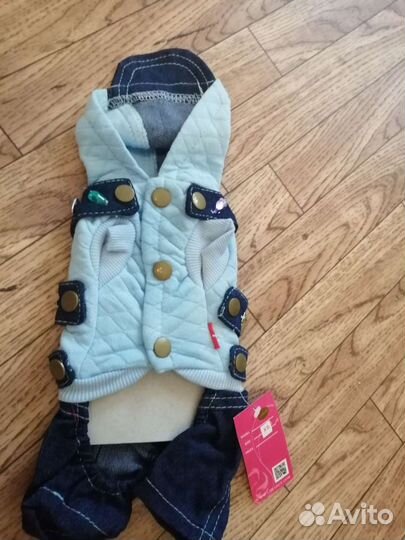 Одежда для собак