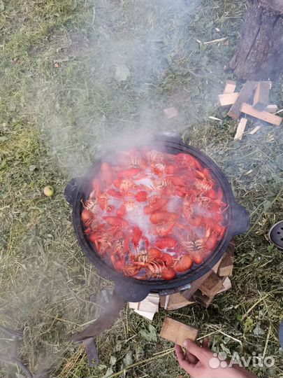 Раки живые и вареные в наличии