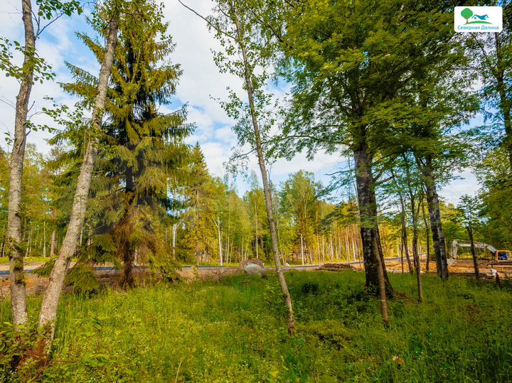 Участок 8 сот. (СНТ, ДНП)