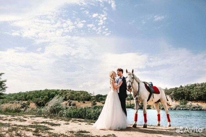 Свадебный фотограф