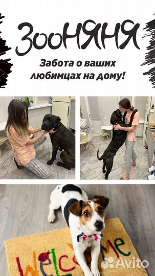 Передержка домашних животных