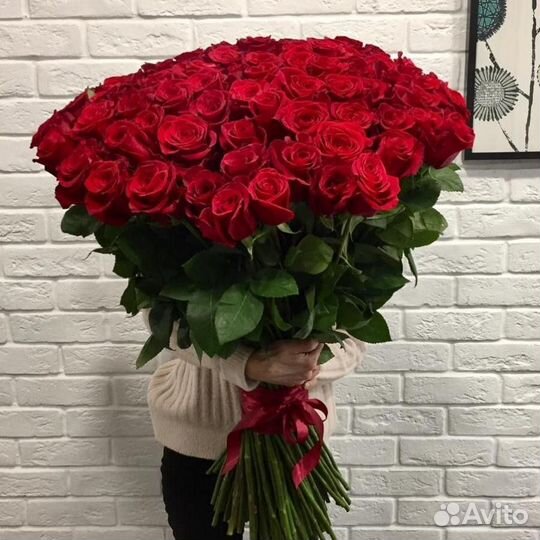 Роза эквадор букеты из 100 см розы. Большой бутон
