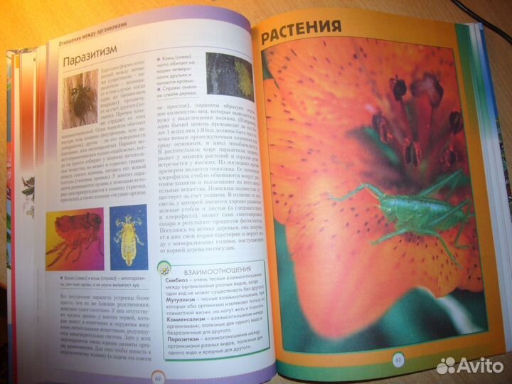 Тайны живой природы