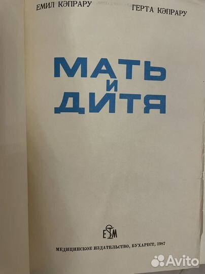 Мать и дитя Эмиль Кэпрару 1987
