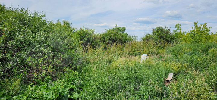 Дом 45 м² на участке 12 сот.