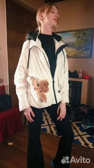 Тедди мальтипуши