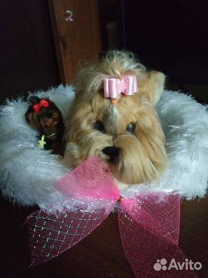 Мама Йорк и малыш