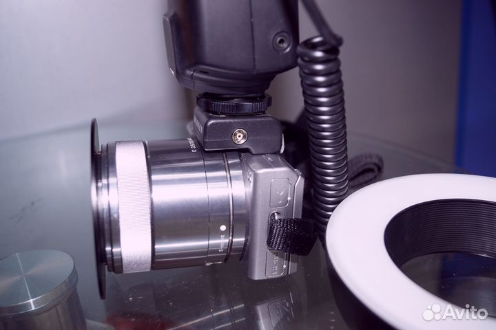 Макро Sony a5R+Sony 30mm/2.8+ кольцевая вспышка