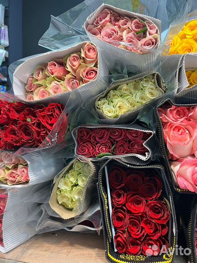 Гипсофила, цветы с доставкой,цветы оптом