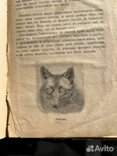 Юные дикари Э. Томпсонъ-Сетонъ