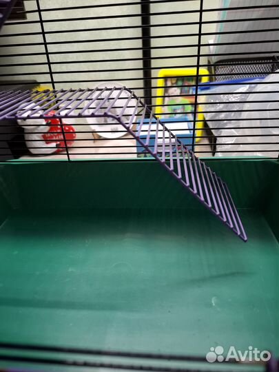 Клетка для хомяка