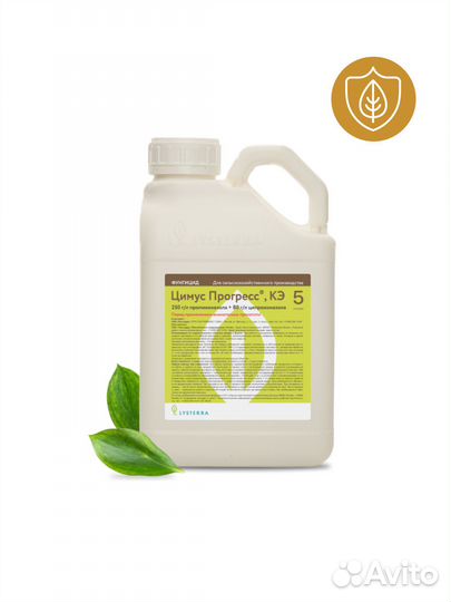 Цимус прогресс, кэ