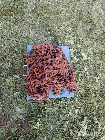 Цепь на чекера