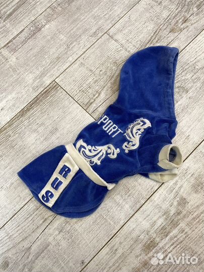 Брендовая одежда для собак