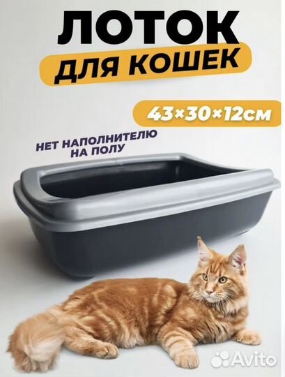 Лоток для кошек