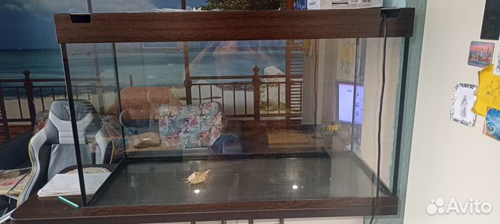 Аквариум