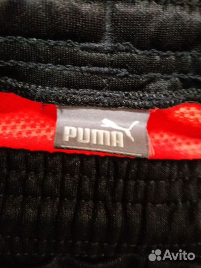 Спортивные штаны