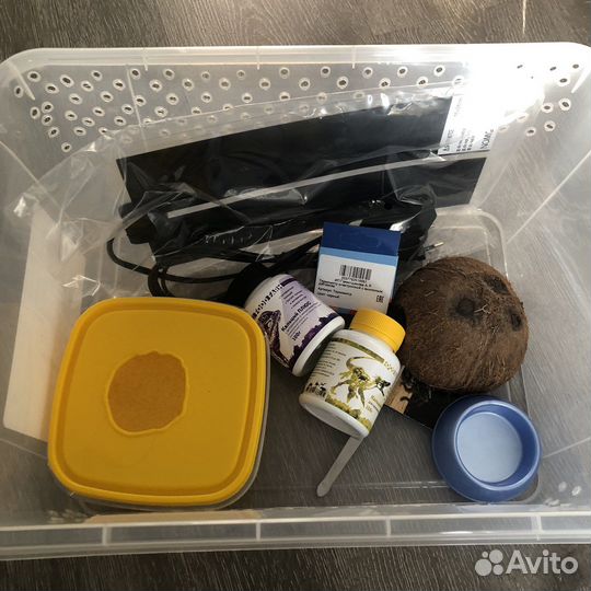 Набор для содержания эублефара, рептилии