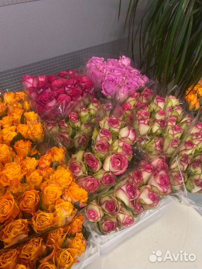 Новое поступление кенийских роз