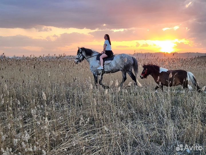 Прогулки на лошадях