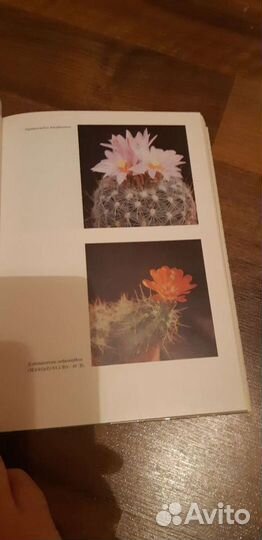 Книга Колючее чудо и Книги по садоводству