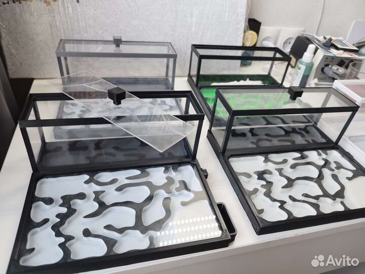 Муравьиная ферма новая