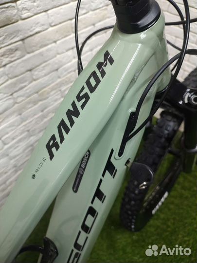 Scott Ransom eride 920