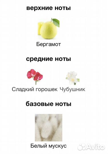 Maison francis kurkdjian aqua universalis forte