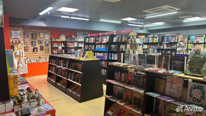Книжный магазин Территория. Готовый бизнес