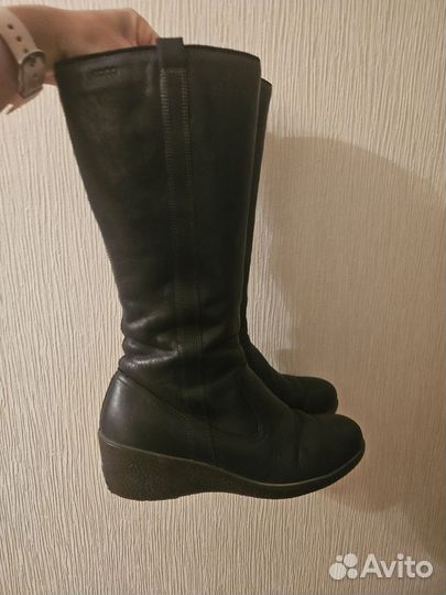 До 12.12: Сапоги женские Ecco 40