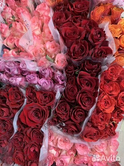 Цветы, розы оптом, букеты. 51 роза,75 роз,101 роза