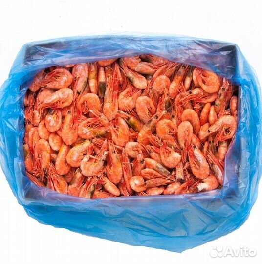 Креветка магаданская