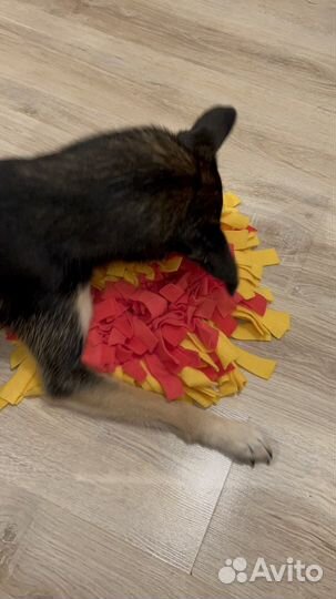 Развивающий 