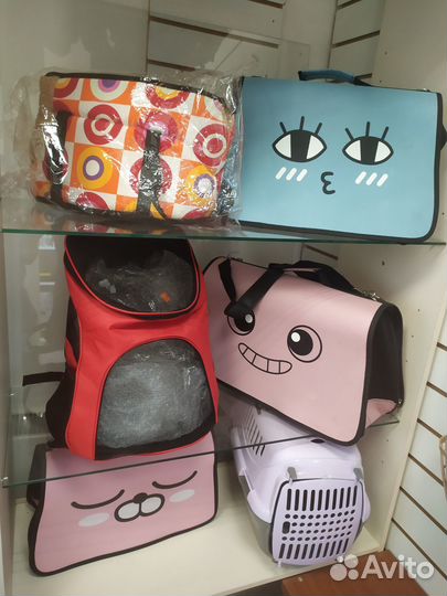 Шлейка, поводок, ошейник, намордник