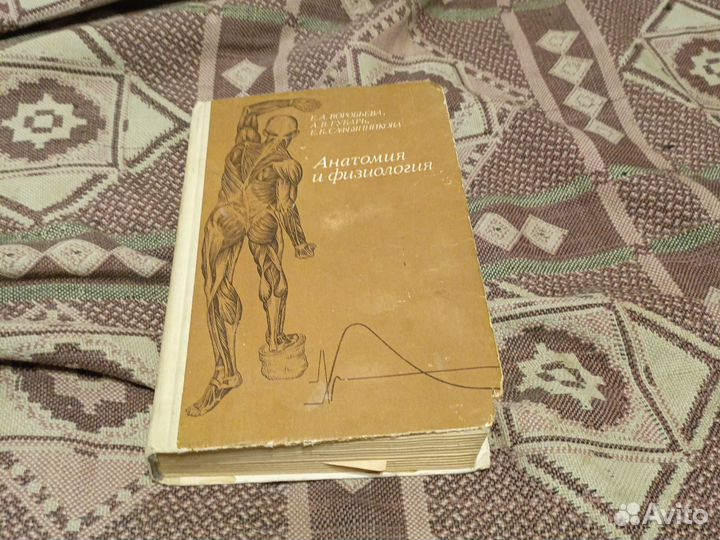 Книга анатомия и физиология медицина 1981 год