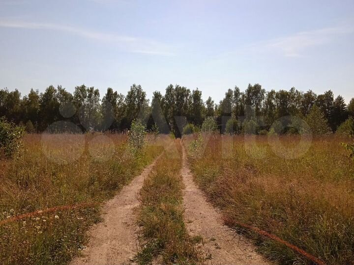 Участок 20 сот. (СНТ, ДНП)