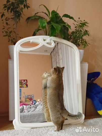 Зеркало настенное