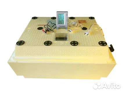 Инкубатор Золушка2020