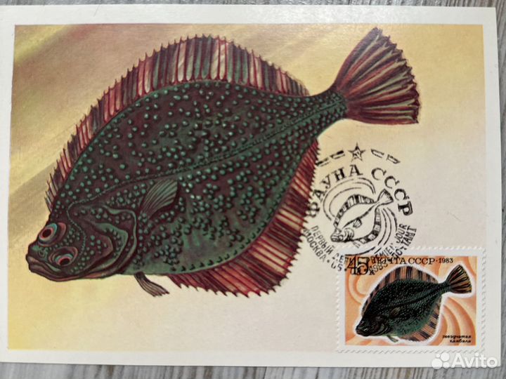 Картмаксимум