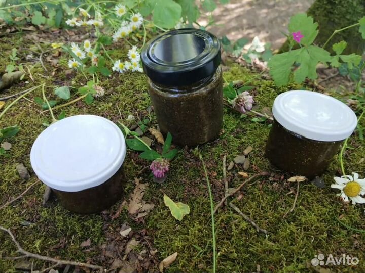 Противо гельминтый сбор