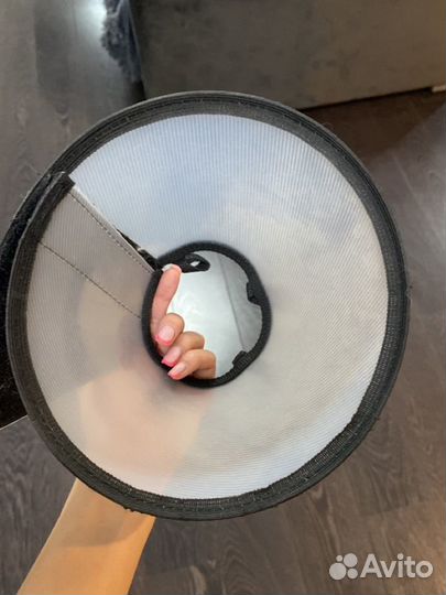 Воротник для животных