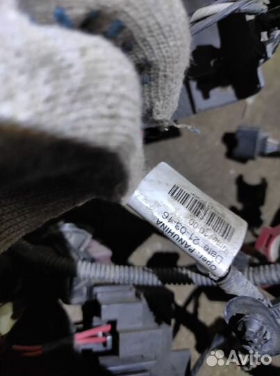 Проводка (коса) двигателя и салона Renault Logan 2