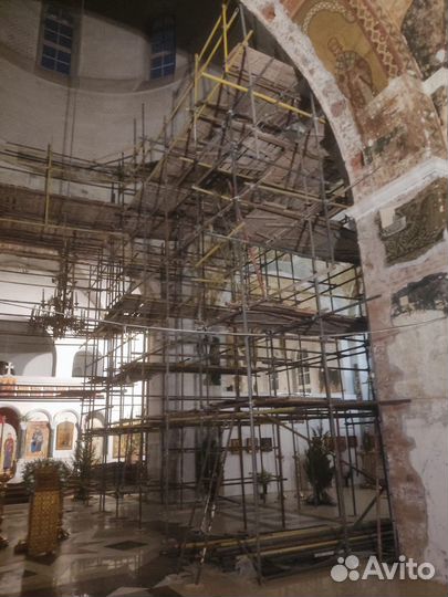 Хомутовые леса аренда